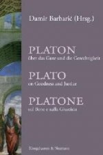 Platon über das Gute und die Gerechtigkeit. Plato on Goodness and Justice. Platone sul Bene e sulla Guistizia