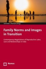 Family Norms and Images in Transition