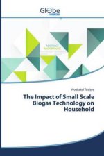 The Impact of Small Scale Biogas Technology on Household