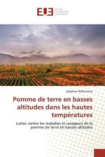 Pomme de terre en basses altitudes dans les hautes temperatures