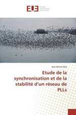 Etude de la synchronisation et de la stabilite d'un reseau de PLLs