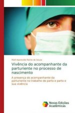 Vivencia do acompanhante da parturiente no processo de nascimento