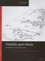 Volubilis Apr?s Rome: Les Fouilles Ucl/Insap, 2000-2005