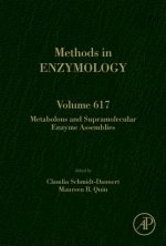 Metabolons and Supramolecular Enzyme Assemblies
