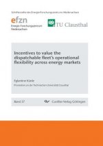 Incentives to value the dispatchable fleet's operational flexibility across energy markets