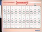 Mein Hunderterfeld - Römische Ziffern und Stift, 1 Lernvorlage mit Spezialstift