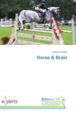Horse & Brain