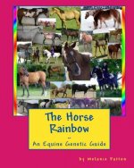 Horse Rainbow
