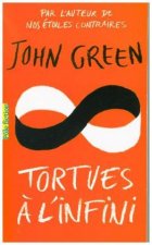 Tortues  a l'infini