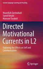 Directed Motivational Currents in L2