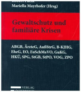 Gewaltschutz und familiäre Krisen