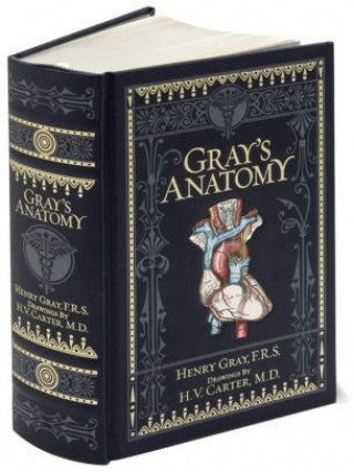 Gray's Anatomy (Barnes & Noble Collectible Classics: Omnibus Edition)