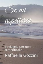 Se Mi Aspetterai: In Viaggio Per Non Dimenticare