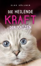 Die heilende Kraft der Katzen: Die Hauskatze als Spiegel zur eigenen Seele. Katzen verstehen und von ihnen lernen mit Tierpsychologin Elke Söllner. Er