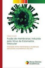 Fusão de membranas induzida pelo Vírus da Estomatite Vesicular