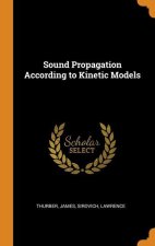 Sound Propagation According to Kinetic Models