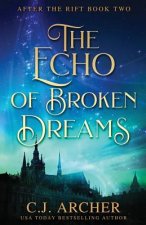 Echo of Broken Dreams