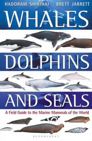 Whales, Dolphins and Seals