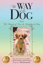 Way of the Dog
