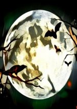 Halloween Activity Book