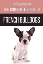 Complete Guide to French Bulldogs
