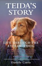 Teida's Story