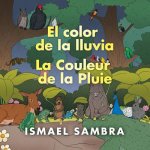 Color De La Lluvia