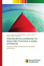 Hidrodinâmica ambiental no baixo São Francisco e ações antrópicas