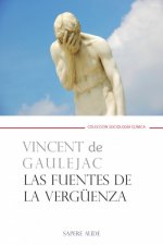 LAS FUENTES DE LA VERGENZA