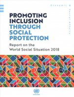 Report on the world social situation 2018