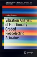 Vibration Analysis of Functionally Graded Piezoelectric Actuators