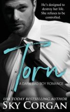 Torn: A Dark Bad Boy Romance