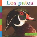Los Patos