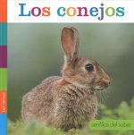 Los Conejos
