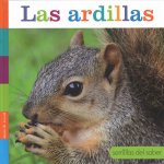 Las Ardillas