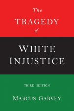 The Tragedy of White Injustice