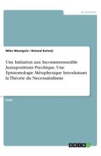 Une Initiation aux Incommensurable Juxtapositions Psychique. Une Epistemologie MétaphysiqueIntroduisant la Théorie du Necessairalisme