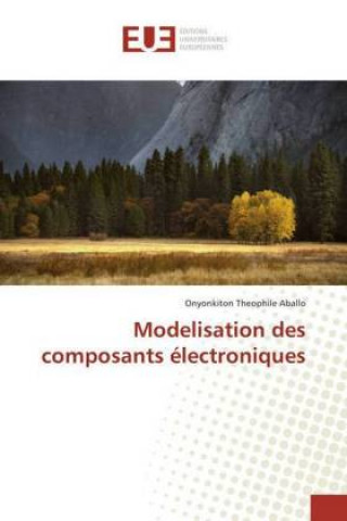 Modelisation des composants électroniques