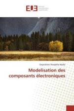 Modelisation des composants électroniques