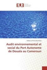 Audit environnemental et social du Port Autonome de Douala au Cameroun