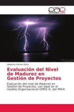 Evaluacion del Nivel de Madurez en Gestion de Proyectos