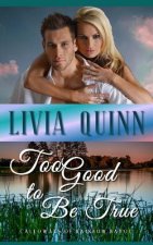 Too Good to Be True: A small town romance