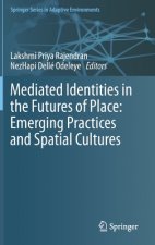 Mediated Identities in the Futures of Place: Emerging Practices and Spatial Cultures