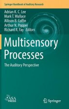 Multisensory Processes