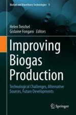 Improving Biogas Production