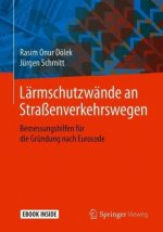 Lärmschutzwände an Straßenverkehrswegen, m. 1 Buch, m. 1 E-Book