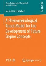 Phenomenological Knock Model for the Development of Future Engine Concepts