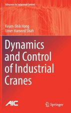 Dynamics and Control of Industrial Cranes