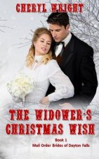 Widower's Christmas Wish