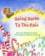 Going North To The Pole